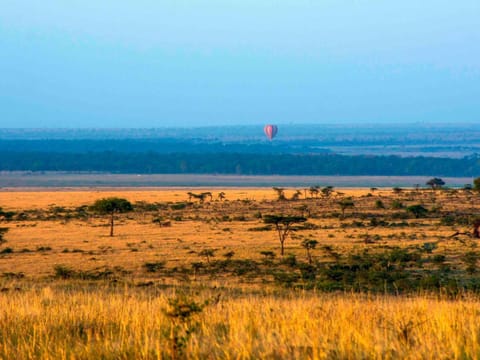 Natural landscape