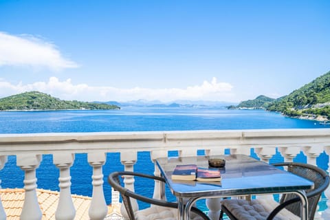 Spacious family apartment Apartment in Dubrovnik-Neretva County