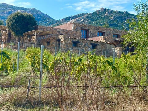 Property building, Spring, Day, Natural landscape, Mountain view