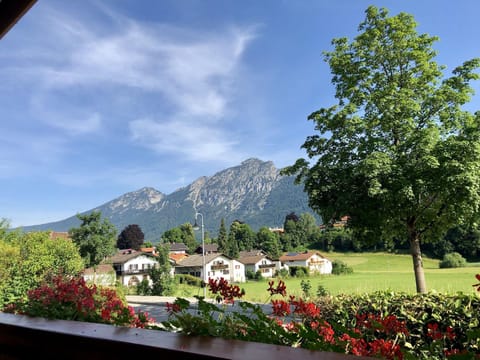 Haus Seerose Apartment in Bad Reichenhall