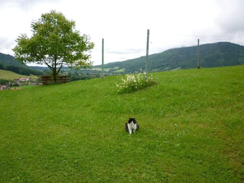 Maurerhof inkl. Chiemgaukarte Farm Stay in Ruhpolding