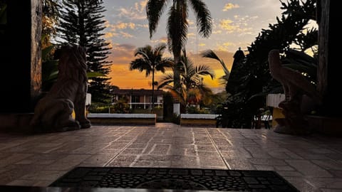 Day, Garden, Garden view, Sunset