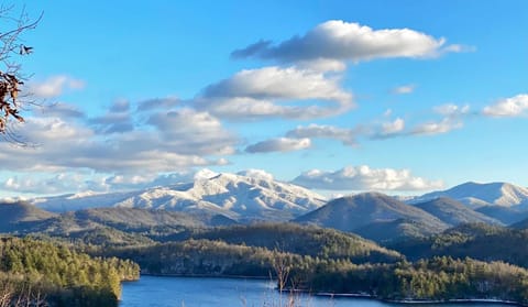 Bear's Mountaintop Home with Gorgeous Lake Views chalet House in Lake Santeetlah