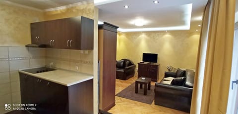 TV and multimedia, Kitchen or kitchenette, Living room, Seating area, Dining area
