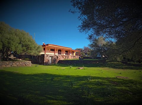 Property building, Restaurant/places to eat, Breakfast