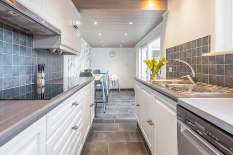 Kitchen or kitchenette, dishwasher