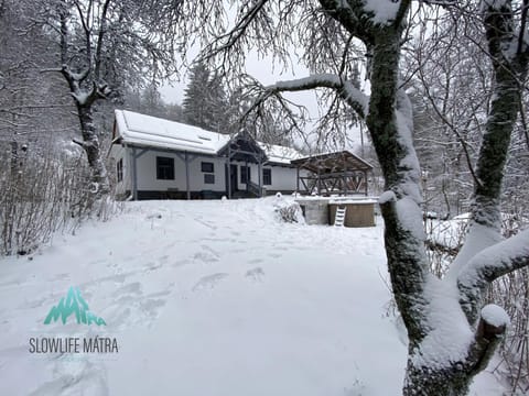 Property building, Winter