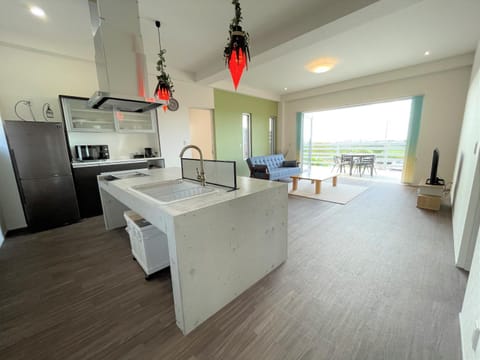Kitchen or kitchenette, Living room