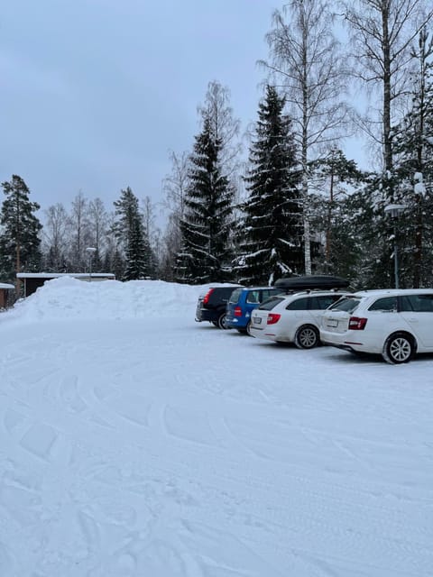 Day, Natural landscape, Winter, Parking