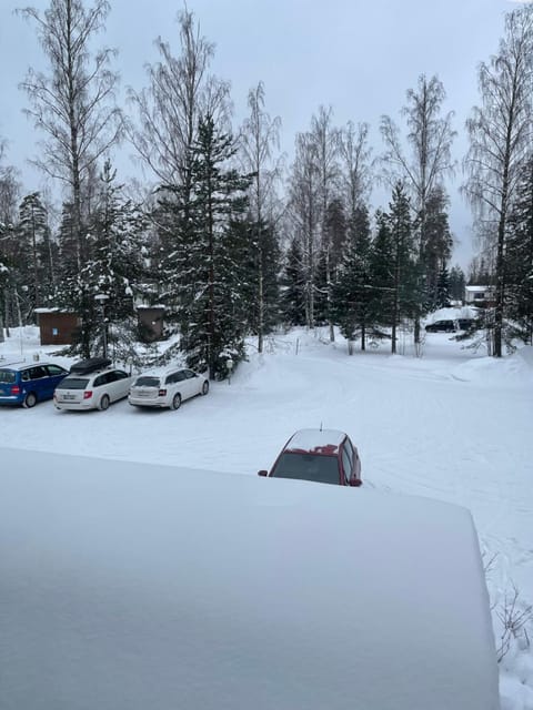 Day, Natural landscape, Winter