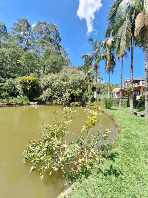 Lake view