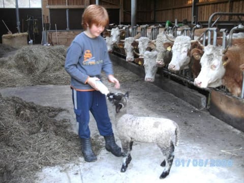 Sulzenhof inkl. Chiemgaukarte Farm Stay in Ruhpolding