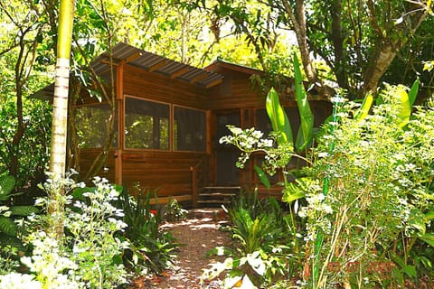 Licensed 2 bedroom cabin Close to San Ignacio, local dining, and adventure tours Cabin in San Ignacio