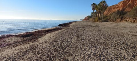 Natural landscape, Beach