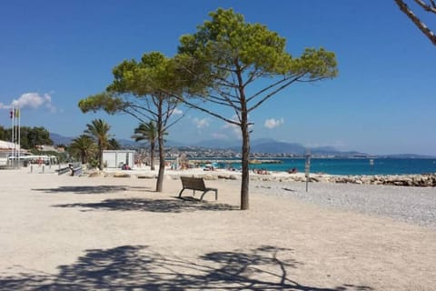 Neighbourhood, Beach