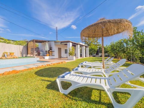 Patio, Garden, Garden view