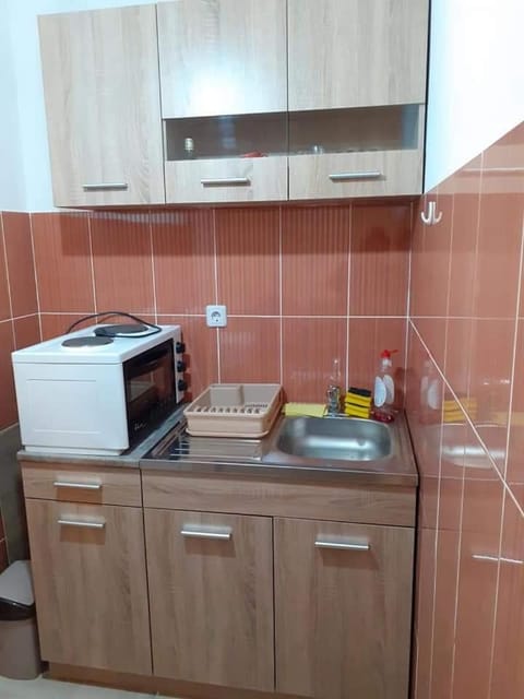 Studio Ljilja Apartment in Zlatibor District, Serbia