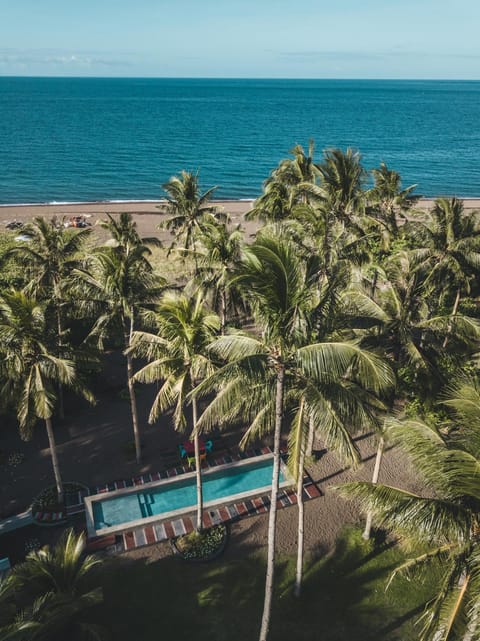 Beach, Pool view, Sea view, Swimming pool