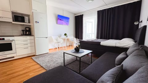 TV and multimedia, Living room, Seating area, oven, stove