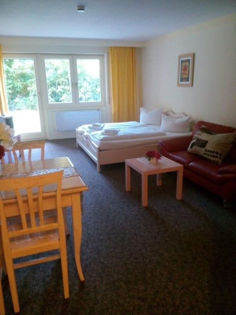 Haus Herzogenhorn - Hornberg Apartment in Baden-Württemberg