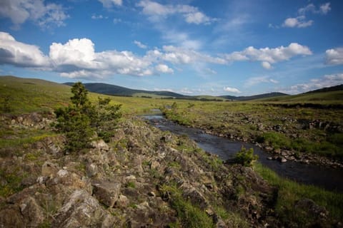 Mesto za odmor House in Zlatibor