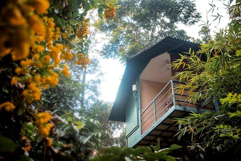 Balcony/Terrace, Garden view, Landmark view, Mountain view, Pool view, Inner courtyard view