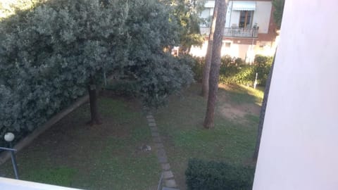 Inner courtyard view