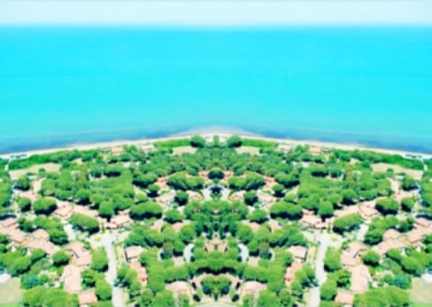 Natural landscape, Bird's eye view