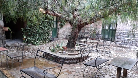 Patio, Spring