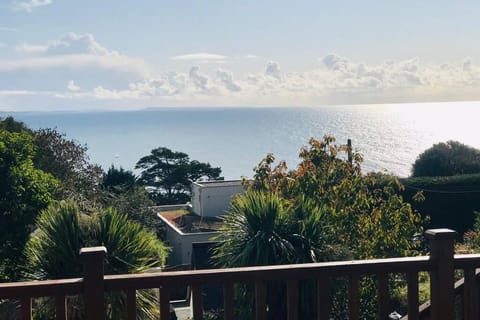 Great couples accommodation with beautiful sea view Apartment in Lyme Regis