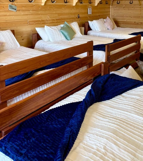 Photo of the whole room, Bedroom, bunk bed, Family