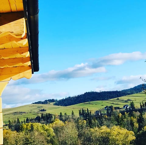 View (from property/room), View (from property/room)