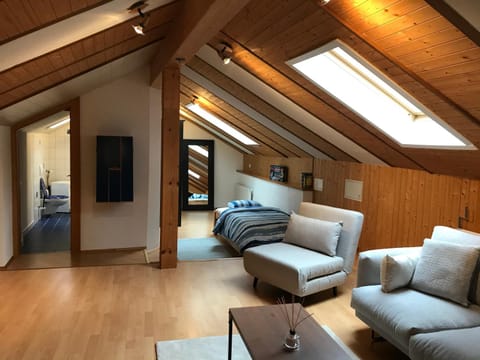 Appartamento Morobbia Apartment in Canton of Ticino