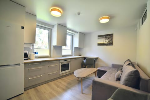 Kitchen or kitchenette, Living room
