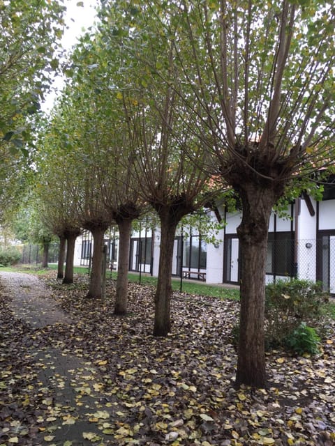 Vakantiewoning Kaviaar House in Middelkerke