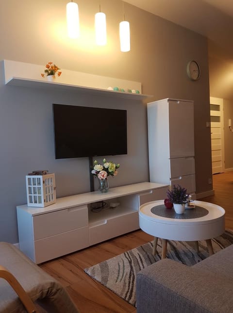 Atmare Apartment in West Pomeranian Voivodeship, Poland