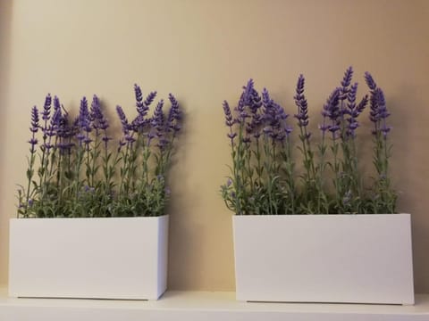 Pansion Bencun Bed and Breakfast in Federation of Bosnia and Herzegovina