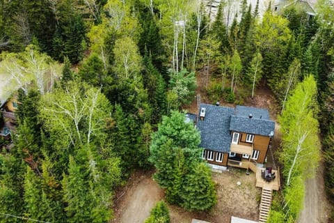 Property building, Spring, Day, Natural landscape, Bird's eye view, Garden, Garden view