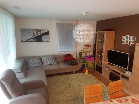 Realp-Andermatt 3,5 locali giardino privato In mezzo la natura, spettacolare per appassionati montanbike, pesca ecc In inverno fai sci di fondo dal giardino e con il treno davanti a casa si raggiunge in 5min il comprensorio scistico di Andermatt Apartment in Canton of Ticino