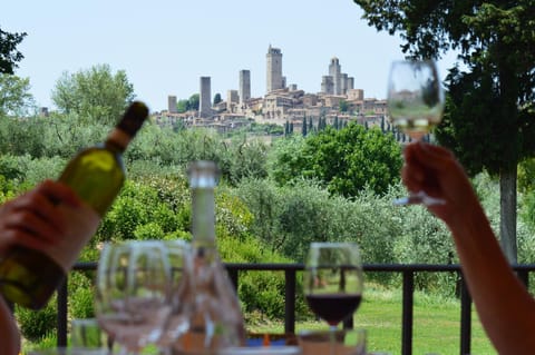 Nearby landmark, Restaurant/places to eat, Garden, Balcony/Terrace, City view, Alcoholic drinks