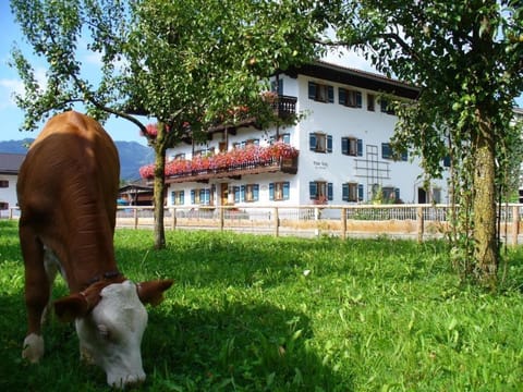 Beim Lenz Farm Stay in Salzburgerland