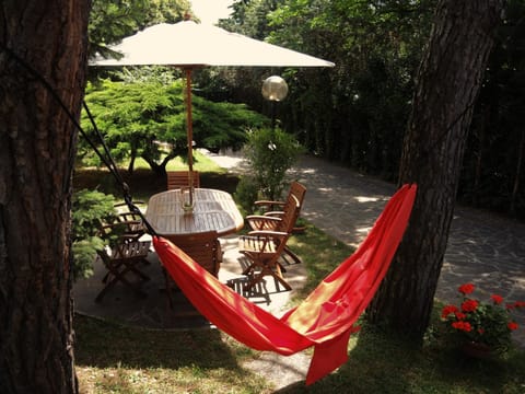 Patio, Day