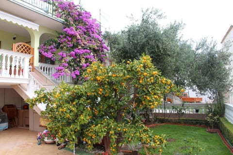 Garden, Balcony/Terrace