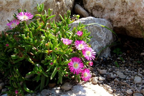 Ferienwohnung Fembacher Apartment in Bad Reichenhall