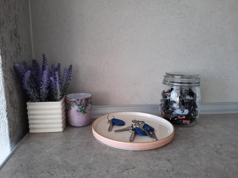 Apartman Tvrdjava Apartment in Federation of Bosnia and Herzegovina