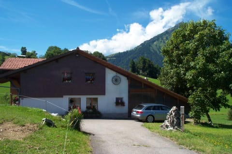 Ruhe pur Apartment in Canton of Valais