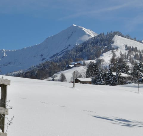 Ruhe pur Apartment in Canton of Valais