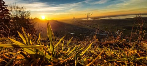 Ferienwohnung Reisenauer Apartment in Grassau
