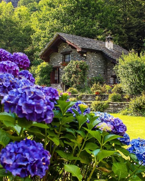 Property building, Garden view