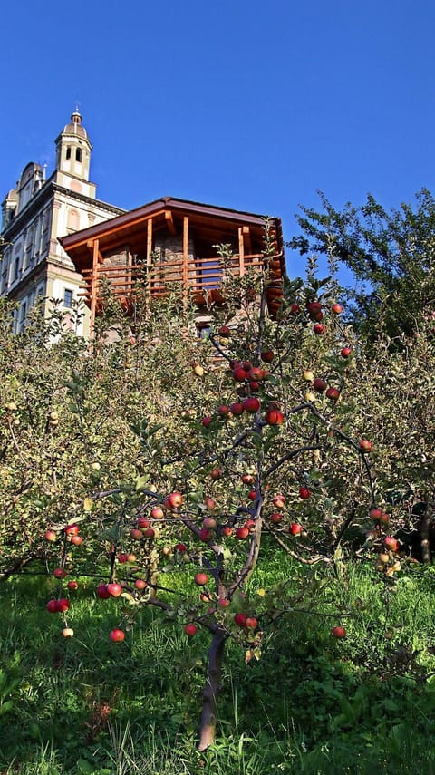 Una casa tra gli alberi Bed and Breakfast in Province of Brescia